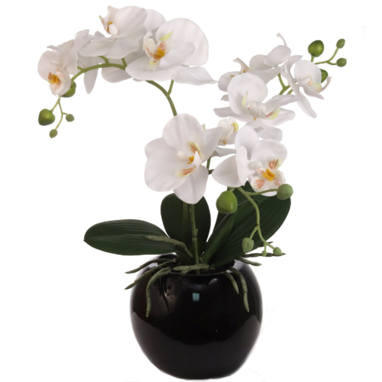 16.5" Phalaenopsis Orchid Arrangement - Black Ceramic Vase, Elegant Floral Decor, Floral Home by Artificial Flowers